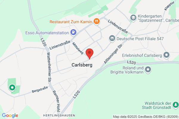 Elvi Ficker
