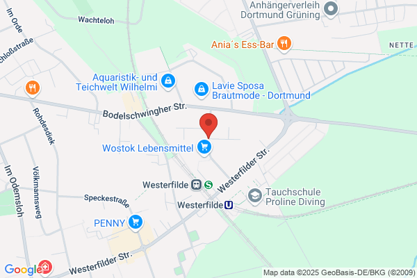 Bodelschwingh