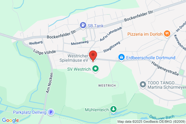 Westricher Spielmäuse e.V.