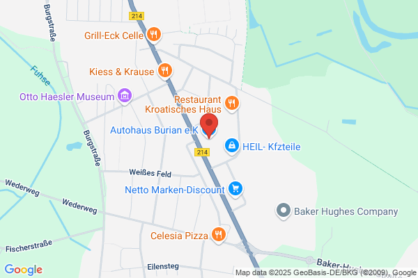 AED Bosch Car Service Diesel Service