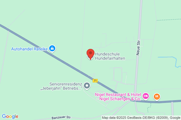 Hundefairhalten