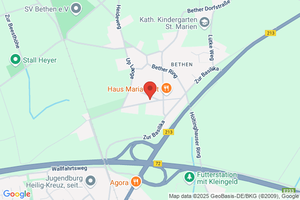 Spindelmann, Wolfgang