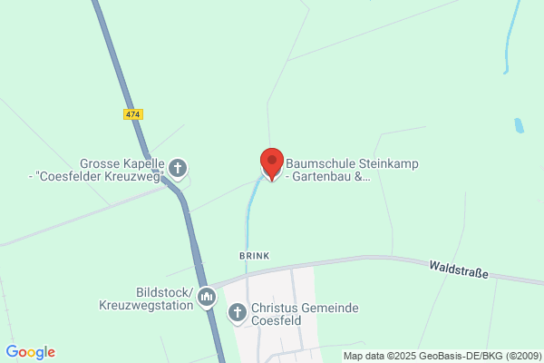 Steinkamp