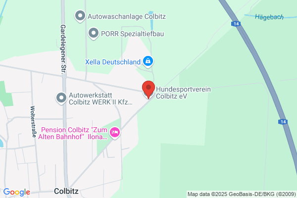 Internationaler Dachverband Der Hundeclubs e.V.
