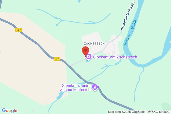 Schwesinger