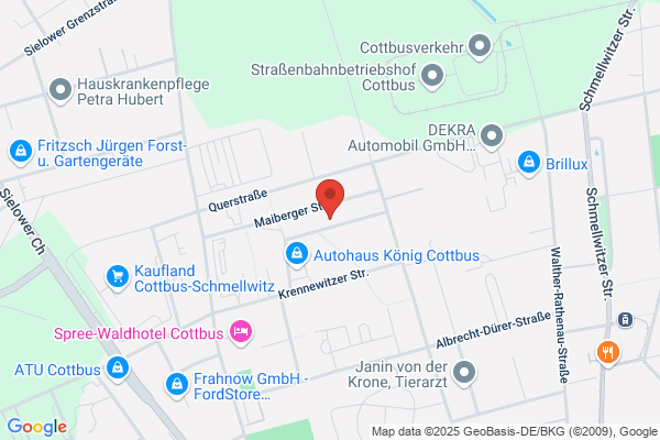 GO! General Overnight & Express Logistik Cottbus