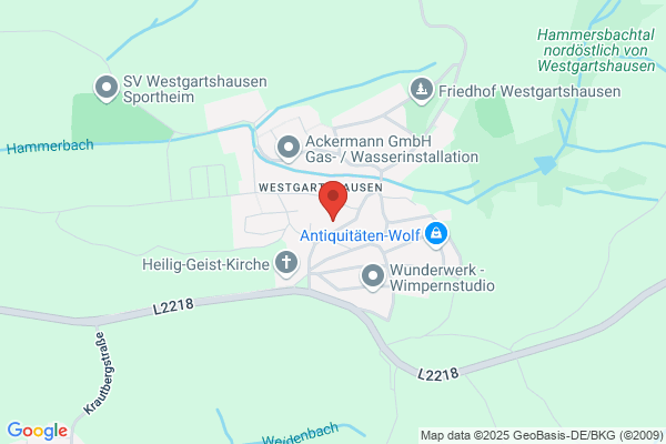 Stirn Heinz GmbH & Co Stukkateur- und Maurerbetrieb