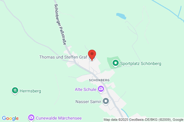 Thomas Heinz Brade