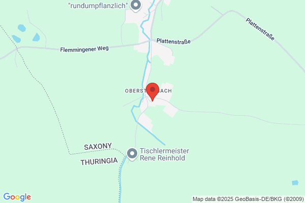 Ulricke Tischer