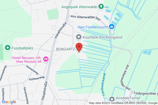 Bongartz GmbH