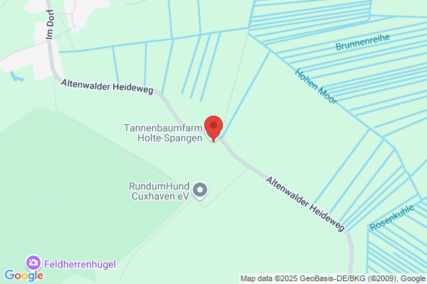 stammzuholz