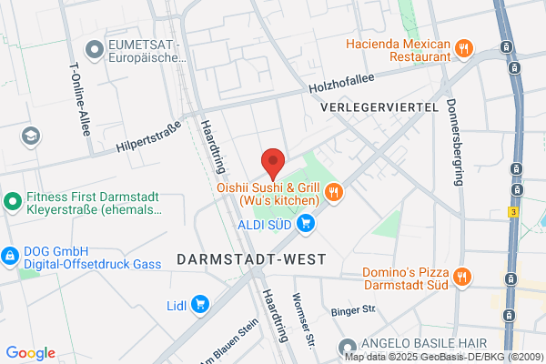 Hessischer Rechnungshof
