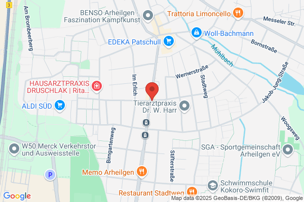Marchitekturia Gnadl