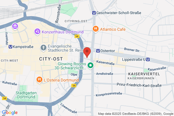 Kaiser Handy Reparatur