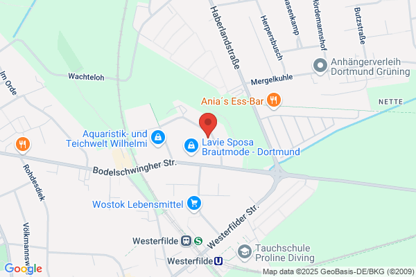 Aksu Garten & Landschaftsbau