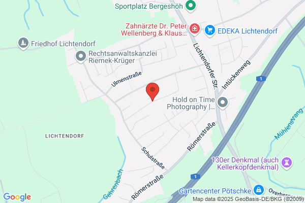 Tim Hentze Dienstleistungen