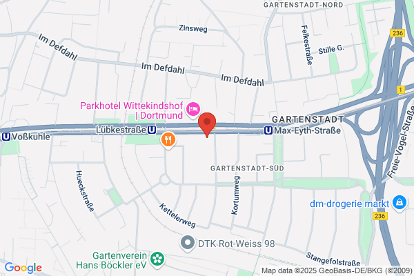 Biomass Energiesysteme GmbH & Co KG