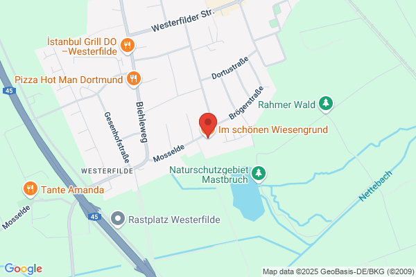 Im schönen Wiesengrund