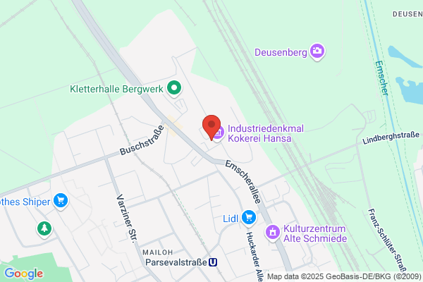 Feuerbändiger Feuerwerke
