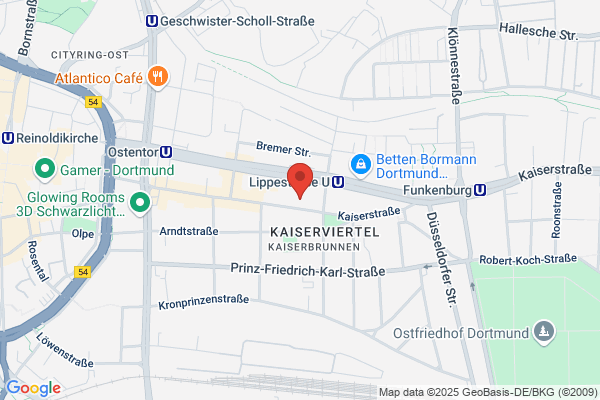 Input Institut für