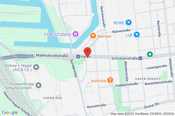 Softwareservice Engels