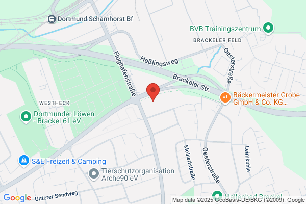 REWE Weihnacht