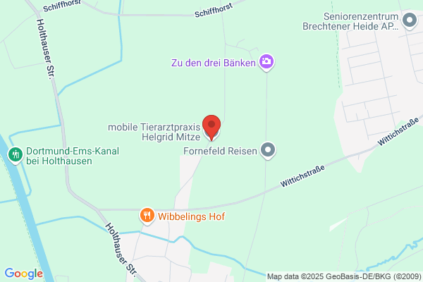 mobile Tierärztin für Kleintiere H.Mitze