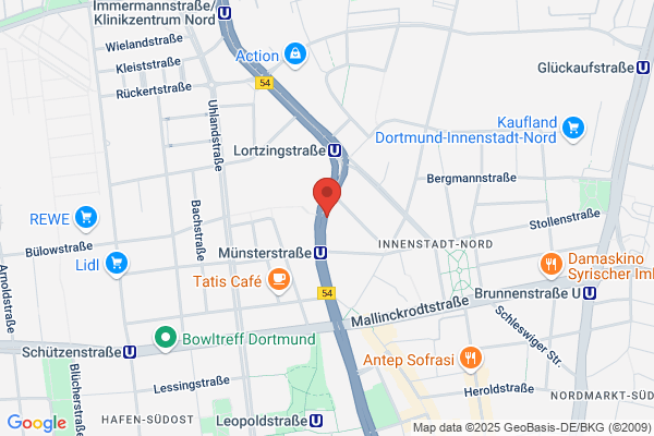 Die Linke Dortmund
