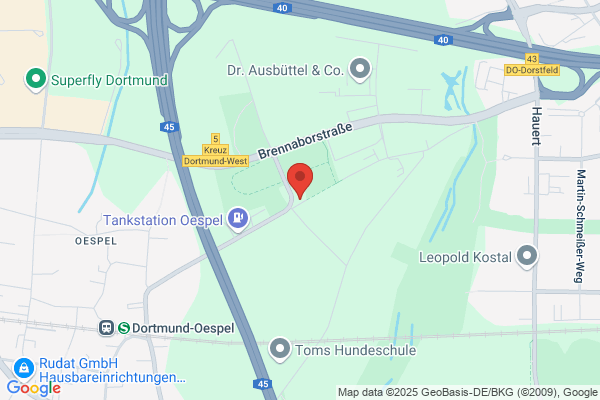 Blaues Kreuz in der e.V.