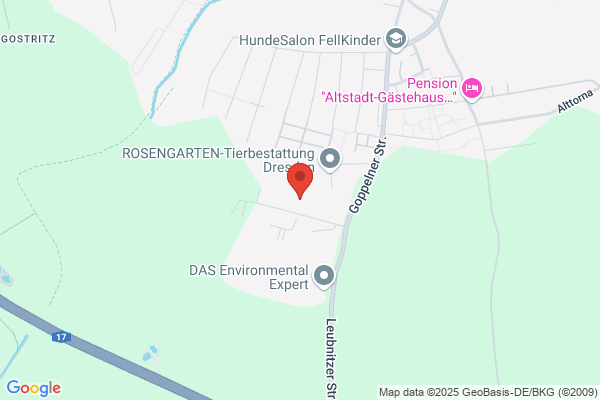 Säsische Festbrennstoffe OHG