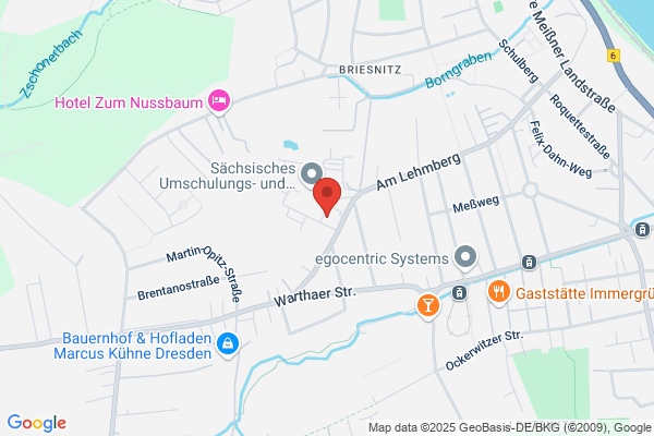 BraM Services Ltd.