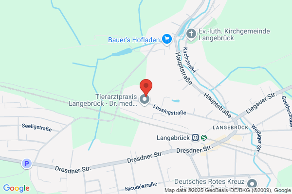 Gebr. Forkel GmbH