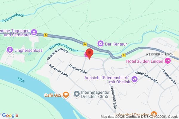 Dresden Führungen mit Antje Falk