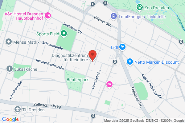 Diagnostikzentrum für Kleintiere | Tagesklinik