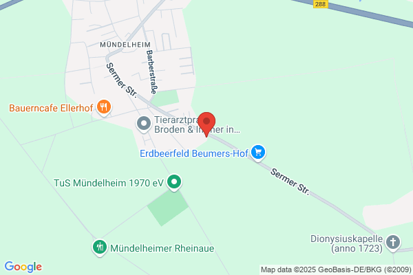 Markus Fahrschule Rulofs