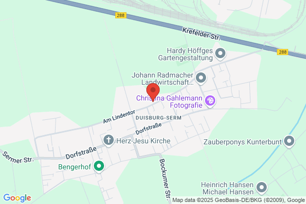 Belting GmbH