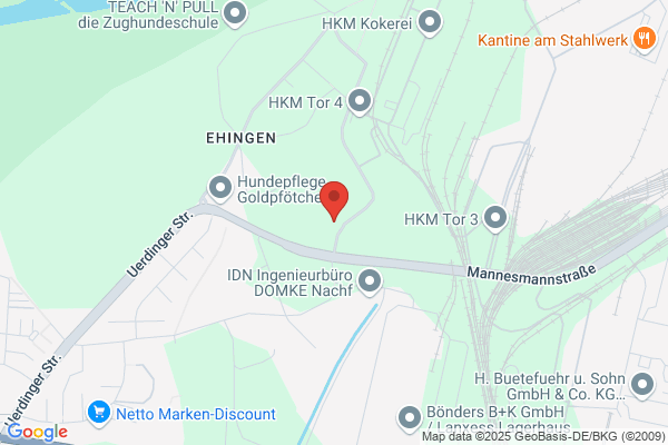 Friedhof Ehingen