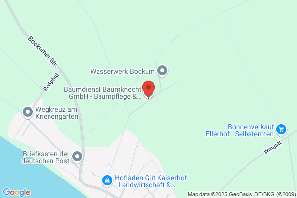 Baumdienst Baumknecht GmbH - Baumpflege & Baumfällung
