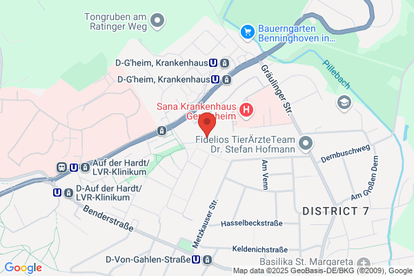 Dipl.-Betriebswirt Volker Niemann