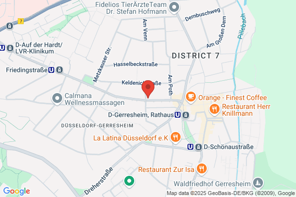 Hillesheim & Behr