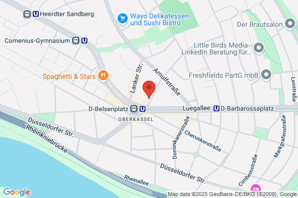 Viser® Limousinenservice