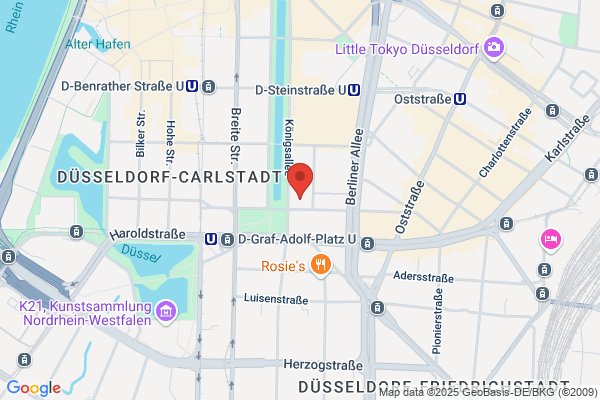 Pleon GmbH - Düsseldorf