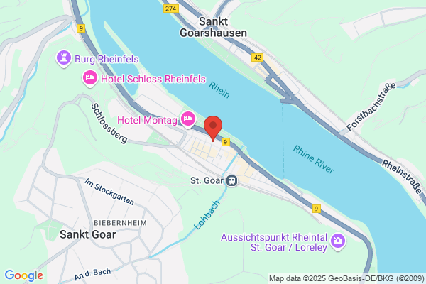 Rhine Fashion