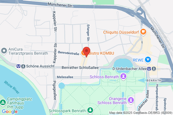 düsselgraph. Denzau J.