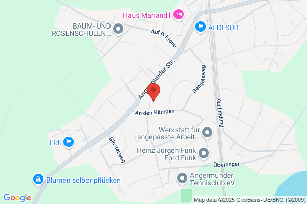 Die Chronisten Frank Simon