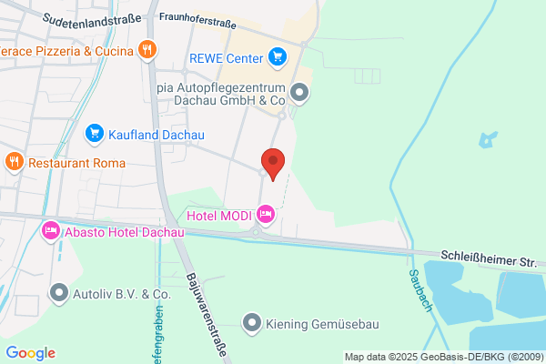 Auto-Hasnovic