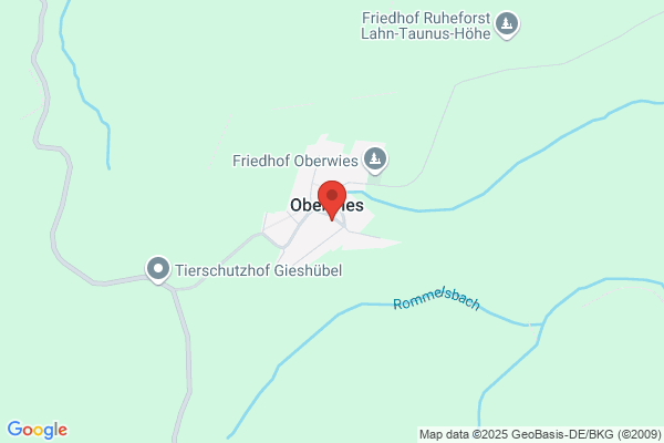 Regina Pfaff-Lorch