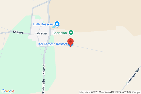 Koi Karpfen Köstorf