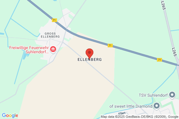 Ellenberg