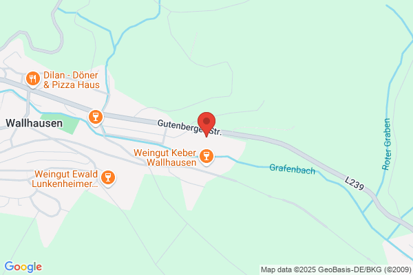 Autohaus Wallhausen
